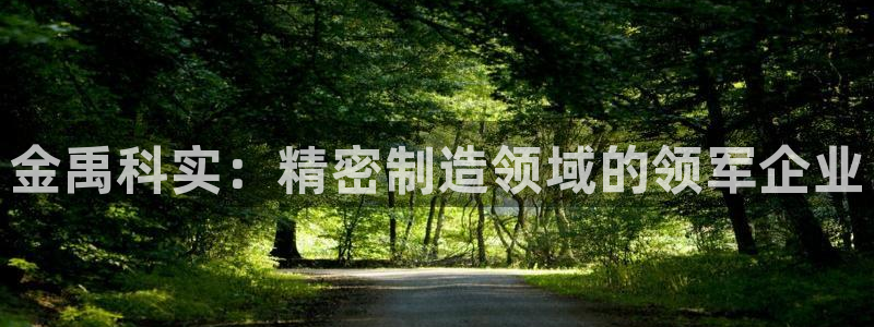 彩神是什么平台：金禹科实：精密制造领域的领军企业