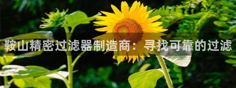 彩神v8官网版：鞍山精密过滤器制造商：寻找可靠的过滤