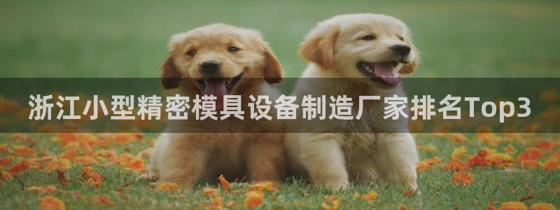 彩神vlll官方网：浙江小型精密模具设备制造厂家排名Top3