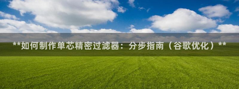 彩神骗局：**如何制作单芯精密过滤器：分步指南（谷歌优化）**