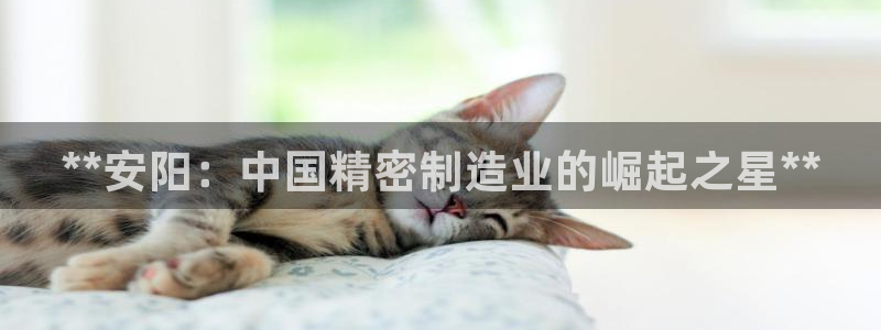 彩神8是正规平台吗是正品吗：**安阳：中国精密制造业的崛起之星**