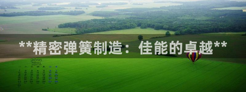 彩神vii官网：**精密弹簧制造：佳能的卓越**