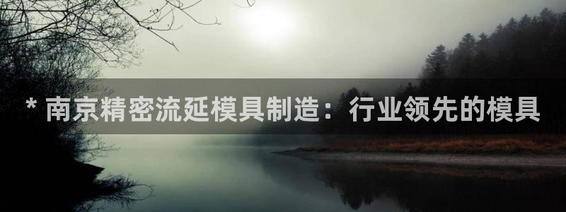 彩神骗局：* 南京精密流延模具制造：行业领先的模具