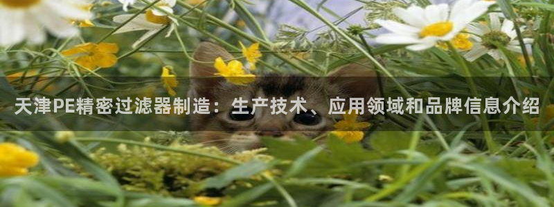 彩神v8下载app5.0：天津PE精密过滤器制造：生产技术、应用领域和品牌信息介绍