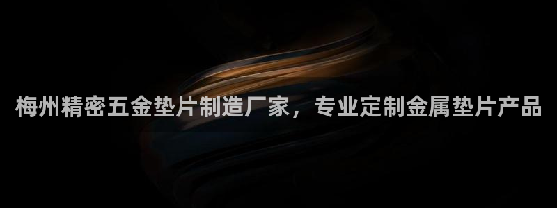 彩神官方网站登录是多少：梅州精密五金垫片制造厂家，专业定制金属垫片产品