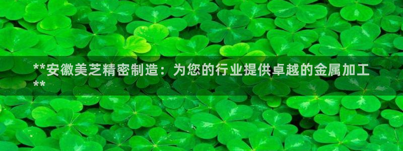 彩神vip购彩大厅下载：**安徽美芝精密制造：为您的行业提供卓越的金属加工
**
