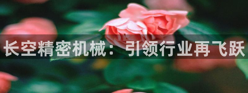 下载彩神争霸谁与我争锋：长空精密机械：引领行业再飞跃