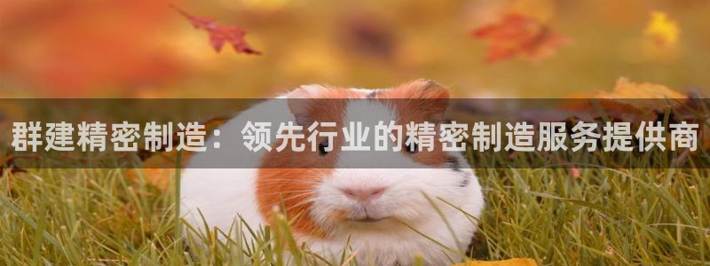 彩神网能赚钱是怎么回事：群建精密制造：领先行业的精密制造服务提供商