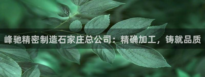 彩神v8官网版：峰驰精密制造石家庄总公司：精确加工，铸就品质