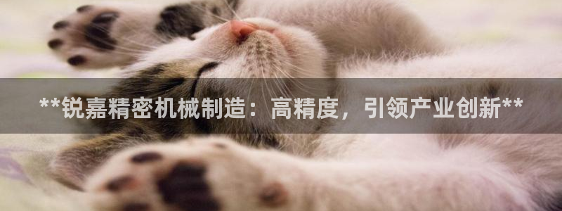 彩神iv能赚钱吗：**锐嘉精密机械制造：高精度，引领产业创新**