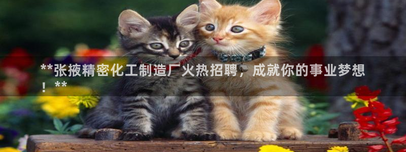 彩神v8平台正规吗：**张掖精密化工制造厂火热招聘，成就你的事业梦想
！**
