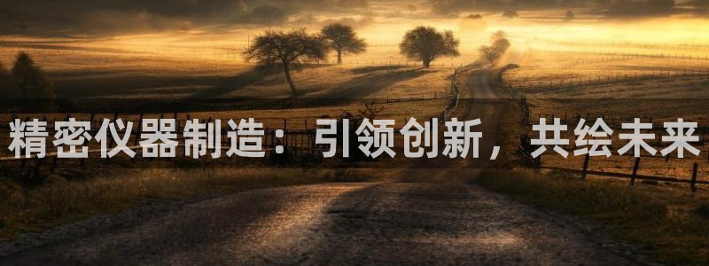 彩神vlll游戏特色：精密仪器制造：引领创新，共绘未来
