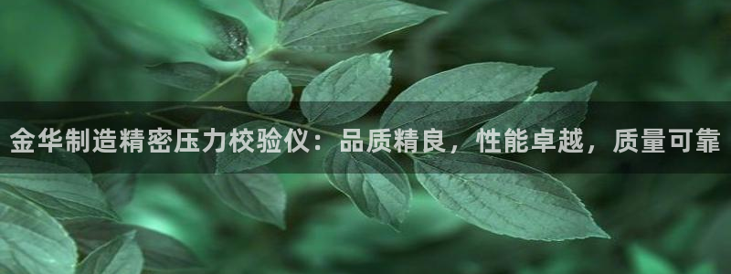 所有彩神购买首页中心：金华制造精密压力校验仪：品质精良，性能卓越，质量可靠