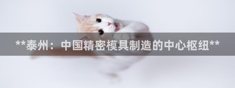 彩神盈利图片：**泰州：中国精密模具制造的中心枢纽**