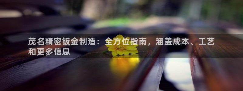 彩神v1官网：茂名精密钣金制造：全方位指南，涵盖成本、工艺
和更多信息