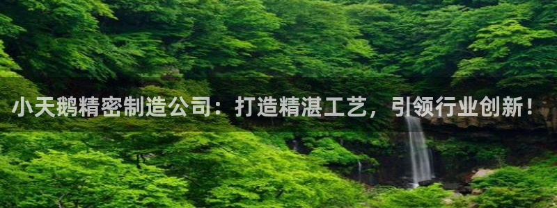 彩神vip购彩大厅：小天鹅精密制造公司：打造精湛工艺，引领行业创新！