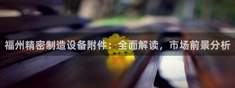 彩神输的钱是赌博还是诈骗：福州精密制造设备附件：全面解读，市场前景分析