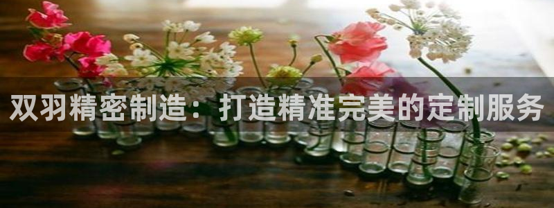 彩神v平台：双羽精密制造：打造精准完美的定制服务