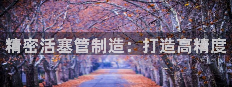 有谁知道彩神争霸的网址：精密活塞管制造：打造高精度