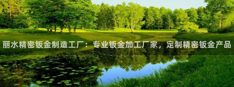 彩神争霸官方登录：丽水精密钣金制造工厂：专业钣金加工厂家，定制精密钣金产品
