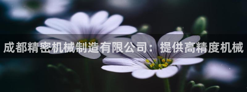 天天彩神welcome：成都精密机械制造有限公司：提供高精度机械