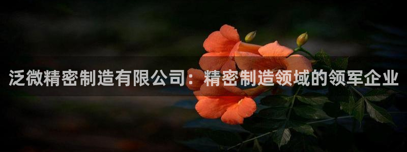 新版彩神v8登录：泛微精密制造有限公司：精密制造领域的领军企业