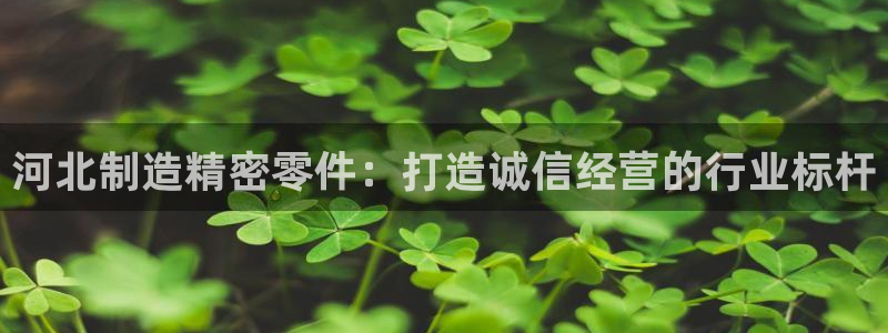 彩神大发三期计划网站：河北制造精密零件：打造诚信经营的行业标杆