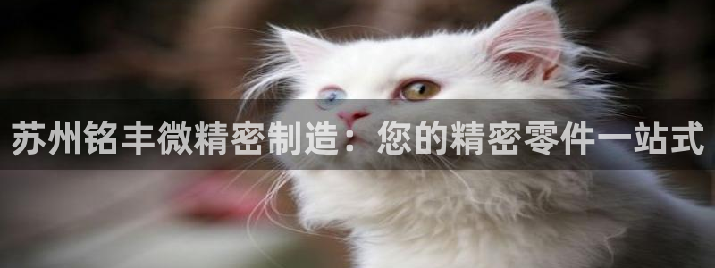 彩神v争霸有限公司：苏州铭丰微精密制造：您的精密零件一站式