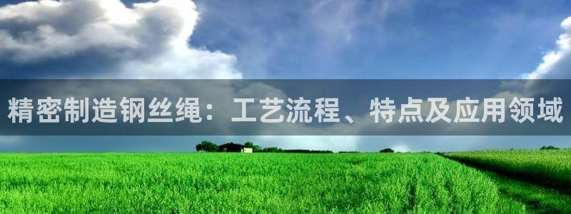 彩神新微聊：精密制造钢丝绳：工艺流程、特点及应用领域