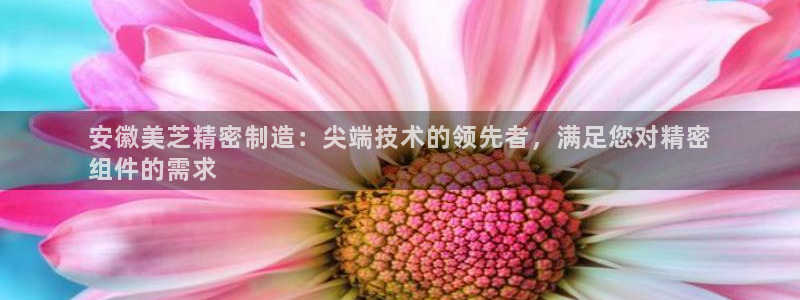 所有彩神购买首页都一样吗：安徽美芝精密制造：尖端技术的领先者，满足您对精密
组件的需求