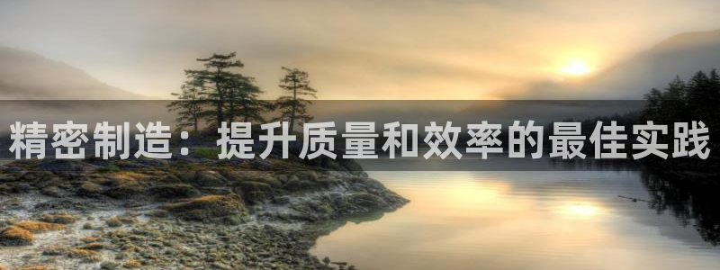 彩神输的钱是赌博还是诈骗：精密制造：提升质量和效率的最佳实践