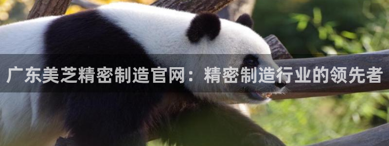 彩神赢钱了吗：广东美芝精密制造官网：精密制造行业的领先者