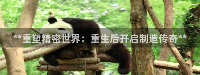 彩神购彩-购彩大厅入口36fr：**重塑精密世界：重生后开启制造传奇**