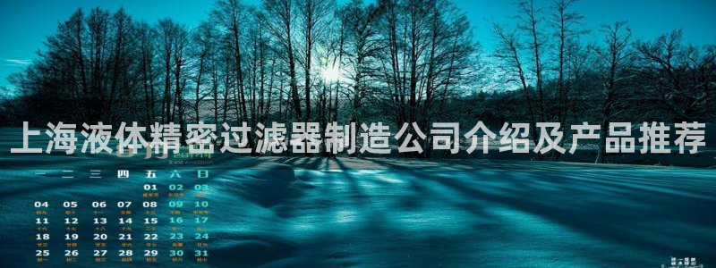 彩神购彩-购彩大厅入口老版：上海液体精密过滤器制造公司介绍及产品推荐