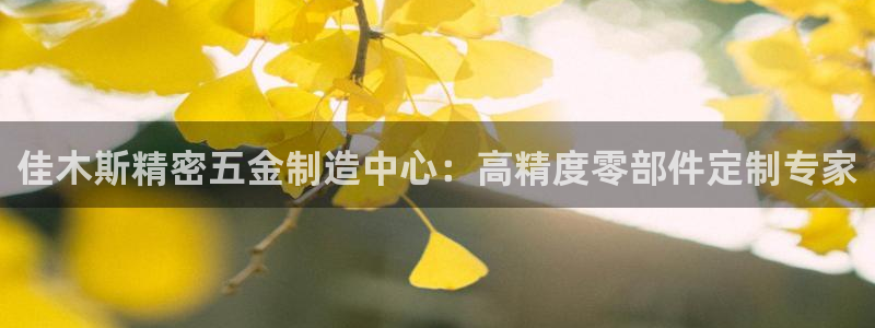 彩神是怎样一个平台赚钱的：佳木斯精密五金制造中心：高精度零部件定制专家