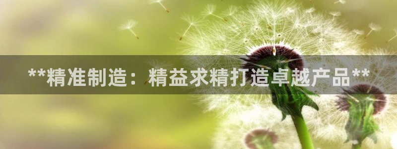 彩神v天天：**精准制造：精益求精打造卓越产品**