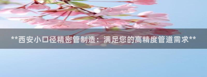 彩神ⅴll是什么样平台