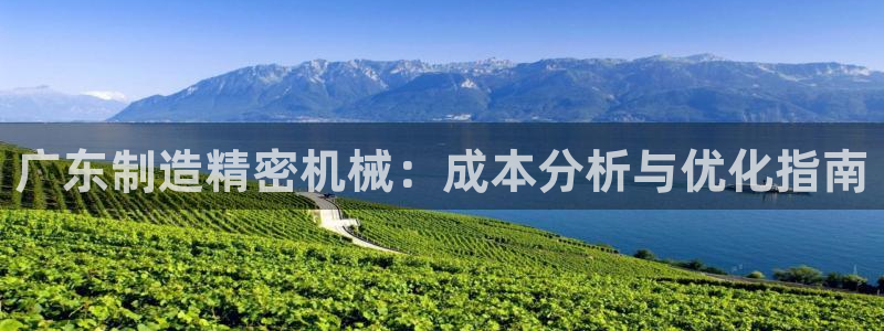 彩神vip购彩大厅下载：广东制造精密机械：成本分析与优化指南