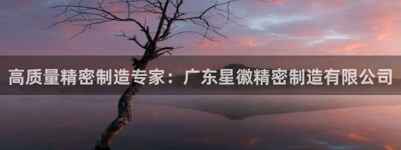v彩神88iii：高质量精密制造专家：广东星徽精密制造有限公司