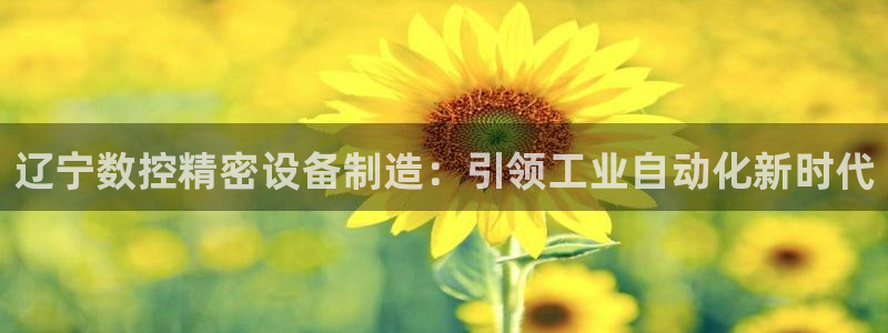 彩神赢的钱是哪里来的：辽宁数控精密设备制造：引领工业自动化新时代