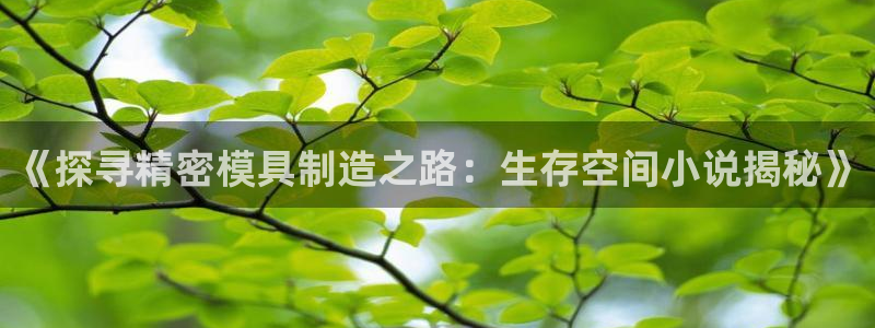 彩神v争霸有限公司：《探寻精密模具制造之路：生存空间小说揭秘》