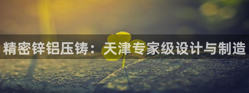 彩神vii官网：精密锌铝压铸：天津专家级设计与制造