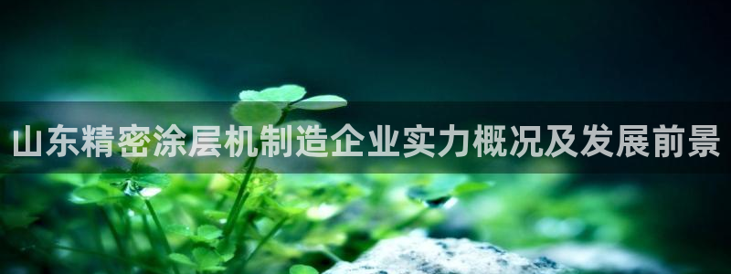 彩神v8下载app5.0：山东精密涂层机制造企业实力概况及发展前景