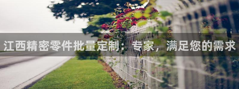 彩神vip官方网站：江西精密零件批量定制：专家，满足您的需求