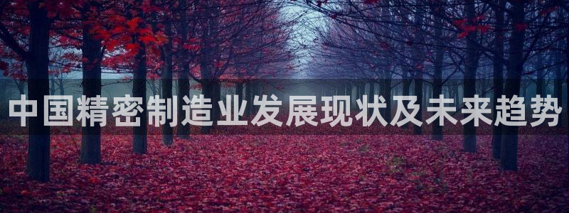 彩神vii购彩l心：中国精密制造业发展现状及未来趋势