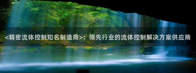 彩神争霸平台：<精密流体控制知名制造商>：领先行业的流体控制解决方案供应商