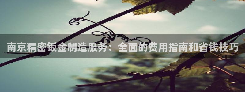 大发彩神最高邀请码：南京精密钣金制造服务：全面的费用指南和省钱技巧