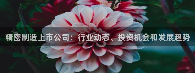彩神V购彩大厅：精密制造上市公司：行业动态、投资机会和发展趋势