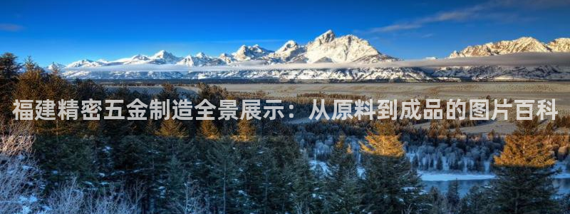 彩神争霸官方登录：福建精密五金制造全景展示：从原料到成品的图片百科