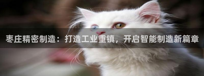 彩神是正规平台吗安全吗：枣庄精密制造：打造工业重镇，开启智能制造新篇章